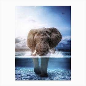 Elephant In The Sea Canvas Print