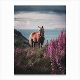 Horse Standing On A Hill Canvas Print