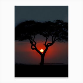 Acacia Tree At Sunset Canvas Print