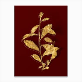 Vintage Grey Willow Botanical in Gold on Red n.0221 Canvas Print