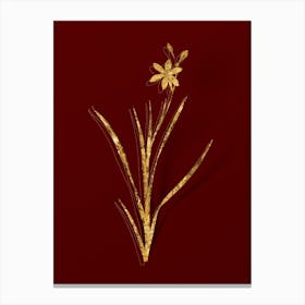 Vintage Ixia Anemonae Flora Botanical in Gold on Red n.0376 Canvas Print