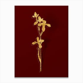 Vintage Siberian Iris Botanical in Gold on Red n.0281 Canvas Print