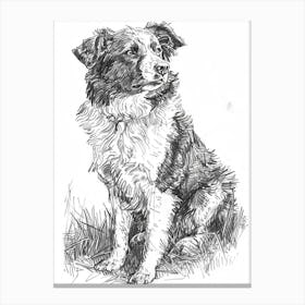 Australian Shepherd Dog Line Sketch 1 Canvas Print