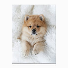 Pomeranian Puppy.Generated AI. Wall Art Print 1 Canvas Print