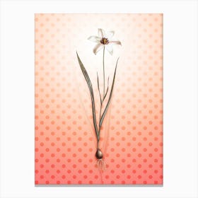 Lady Tulip Vintage Botanical in Peach Fuzz Polka Dot Pattern n.0099 Canvas Print