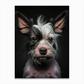 Yorkshire Terrier new Canvas Print