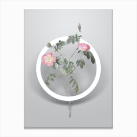 Vintage Pink Austrian Copper Rose Minimalist Botanical Geometric Circle on Soft Gray n.0088 Canvas Print