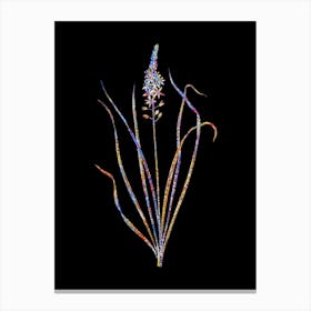 Stained Glass Wild Asparagus Mosaic Botanical Illustration on Black n.0140 Canvas Print