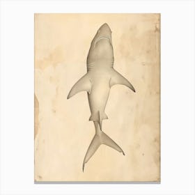 Phoebefy A Pencil Crayon Drawing Of A Shark Centred 1970prese 2195bb1a Fbb7 4268 9d5c 8ad9e61ce27a 0 Canvas Print