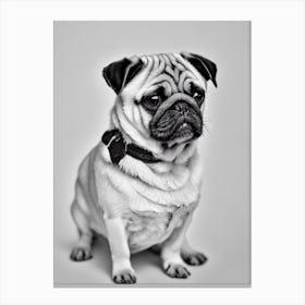 Pug B&W Pencil dog Canvas Print