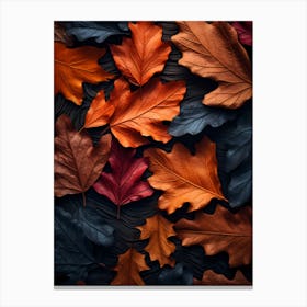 Autumn Leaves On Black Background 1 Canvas Print