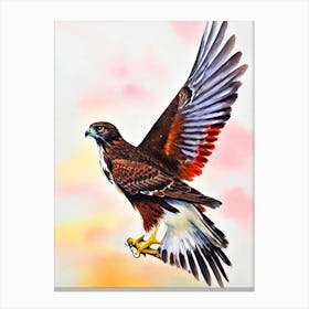 Red Tailed Hawk Watercolour Bird Canvas Print