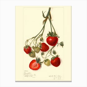 Strawberry Print Canvas Print