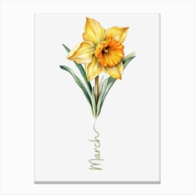 March Birth Flower Birth Month Botanical Canvas Print