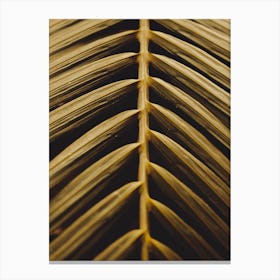 Golden Palm Leaf Canvas Print