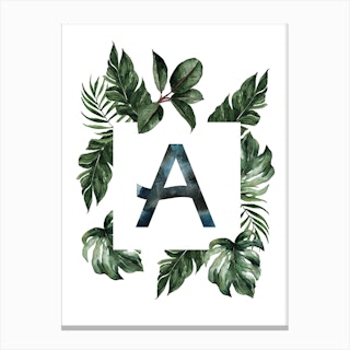 Botanical Alphabet A Canvas Print