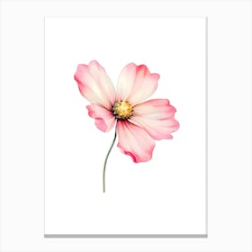 Pink Cosmos Flower Canvas Print