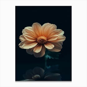 Dahlia Flower 6 Canvas Print