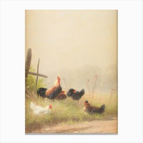 Vintage Roosters In A Field Canvas Print