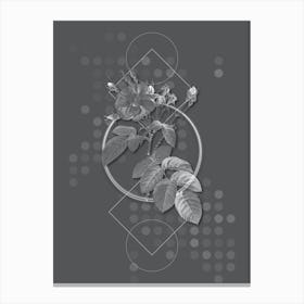 Vintage Harsh Downy Rose Botanical with Line Motif and Dot Pattern in Ghost Gray n.0395 Canvas Print