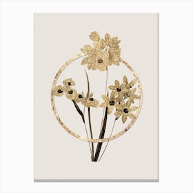 Gold Ring Corn Lily Glitter Botanical Illustration Canvas Print