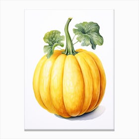 Spaghetti Squash Pumpkin Watercolour Illustration 3 Canvas Print
