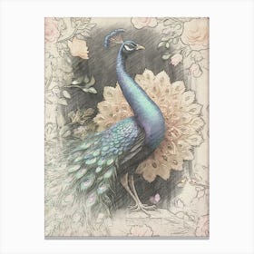 Peacock With Roses 1 Canvas Print