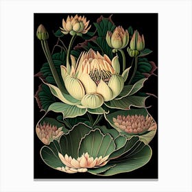 Water Lily 1 Floral Botanical Vintage Poster Flower Canvas Print