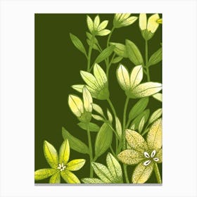 Yellow Flowers On Green Botanical Art Canvas Print