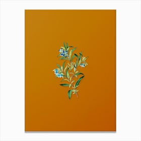 Vintage Blue Narrow Leaved Sollya Botanical on Sunset Orange n.0876 Canvas Print