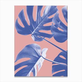 Monstera Leaves Negative Pink_2058458 Canvas Print