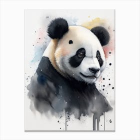 Panda Watercolor (1) Canvas Print