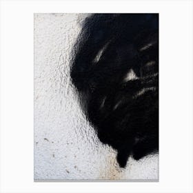 Black Paint On A Wall 2 Canvas Print