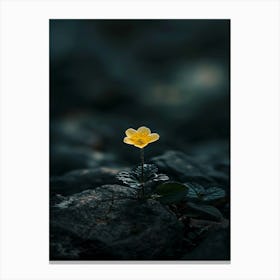 Single Yellow Flower 52 Canvas Print