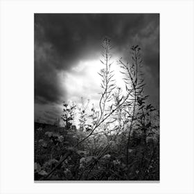 Black And White 2 Canvas Print