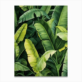 Green Banana Leaves Canvas Print