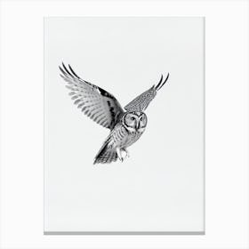 Owl B&W Pencil Drawing 2 Bird Canvas Print