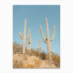 Saguaro Cactus Desert Arizona Southwest Landscape Nature Photography Canvas Print