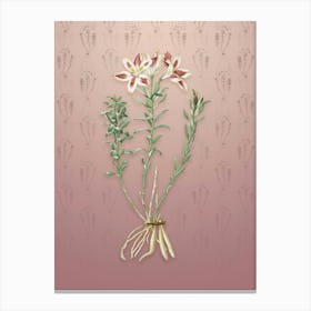 Vintage Lily of the Incas Botanical on Dusty Pink Pattern n.0881 Canvas Print