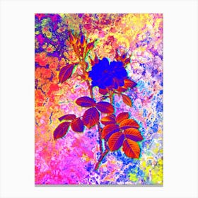 Autumn Damask Rose Botanical in Acid Neon Pink Green and Blue n.0143 Canvas Print
