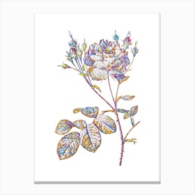 Stained Glass Pink Cumberland Rose Mosaic Botanical Illustration on White Canvas Print
