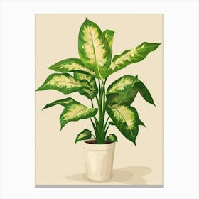 Dieffenbachia Plant Minimalist Illustration 8 Canvas Print