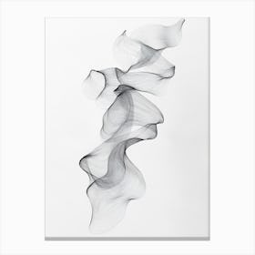 Smoke 2 Canvas Print