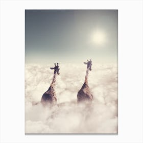 Giant Giraffes Canvas Print