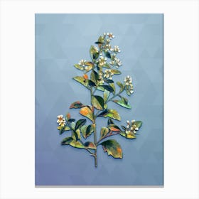 Vintage Eastern Baccharis Botanical Art on Summer Song Blue Canvas Print