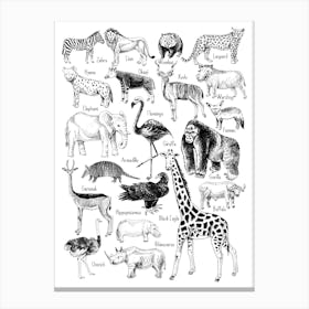 Jungle Animal Canvas Print