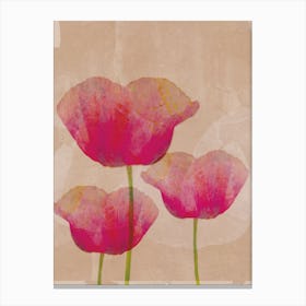 Poppy Art Print2 Canvas Print