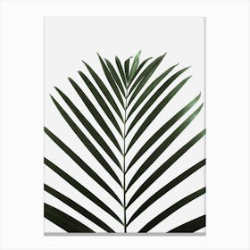 Lush Tropical Palms Canvas Print