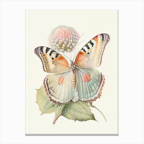 Painted Lady Butterfly Vintage Pastel 1 Canvas Print