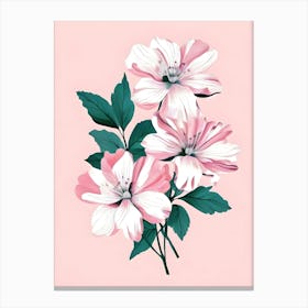 Pink Flowers On A Pink Background 4 Canvas Print